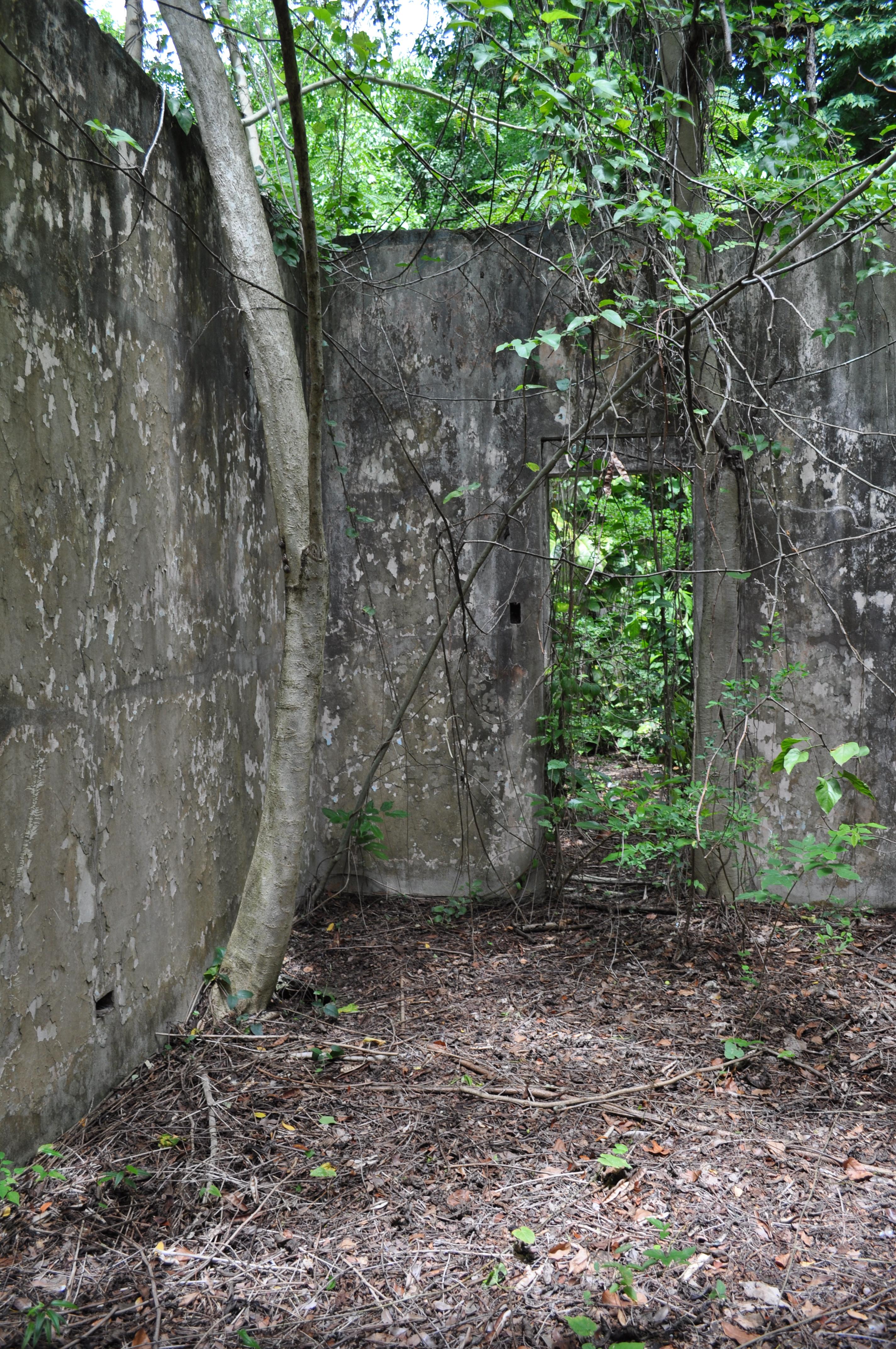 Antigua Lechería y Residencia de la Facultad de la Universidad de Puerto Rico - San Juan (Río Piedras) - 2015 00010